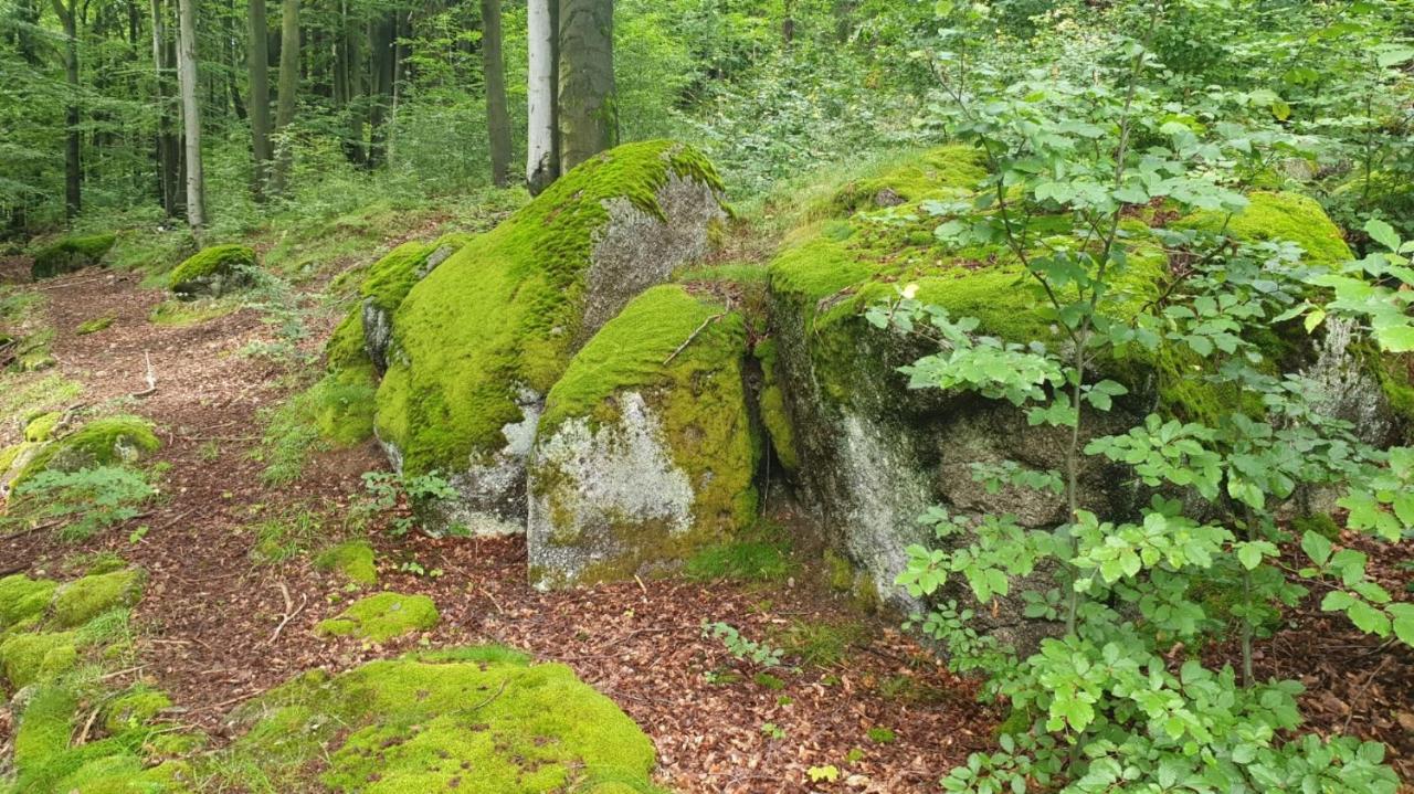 Вилла Omszale Glazy Mossy Rocks Moosige Felsen Zachelmie  Экстерьер фото